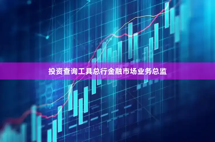 投资查询工具总行金融市场业务总监