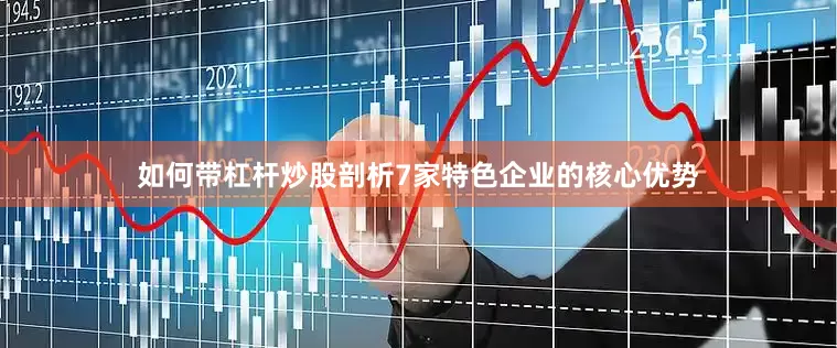 如何带杠杆炒股剖析7家特色企业的核心优势