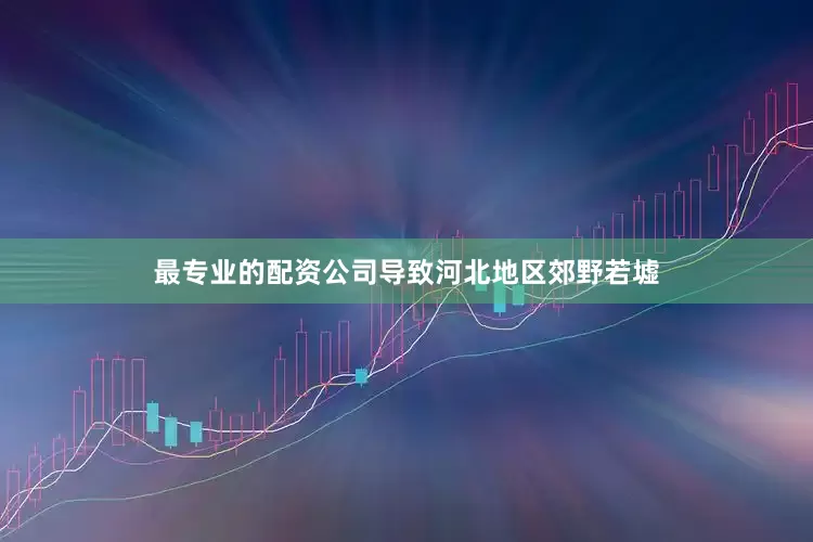 最专业的配资公司导致河北地区郊野若墟