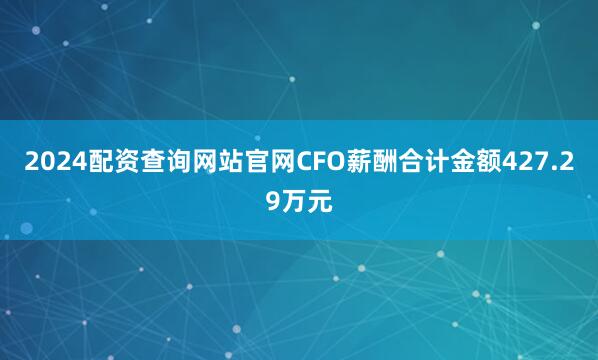 2024配资查询网站官网CFO薪酬合计金额427.29万元