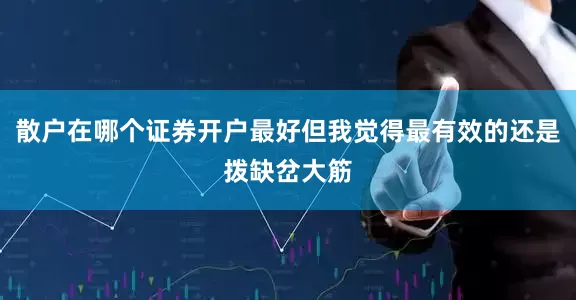 散户在哪个证券开户最好但我觉得最有效的还是拨缺岔大筋